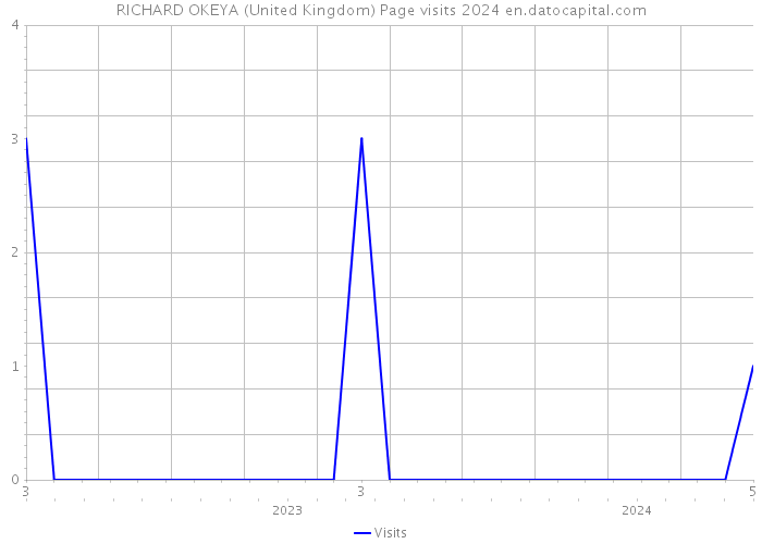 RICHARD OKEYA (United Kingdom) Page visits 2024 