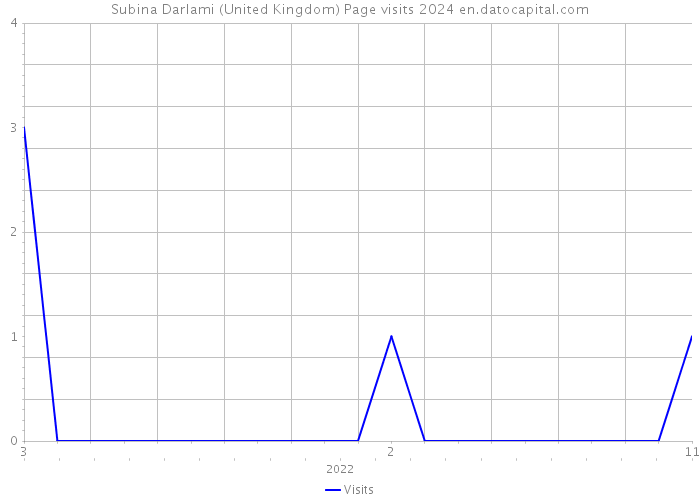 Subina Darlami (United Kingdom) Page visits 2024 