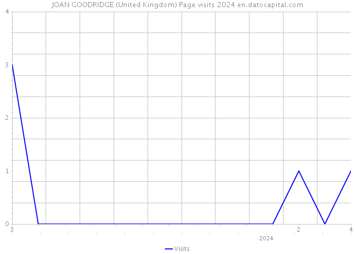 JOAN GOODRIDGE (United Kingdom) Page visits 2024 