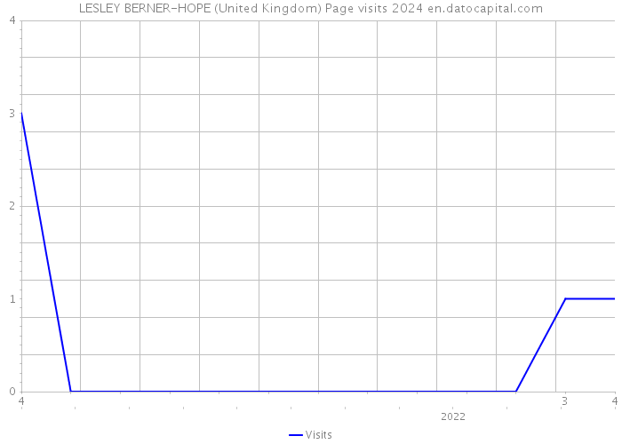 LESLEY BERNER-HOPE (United Kingdom) Page visits 2024 
