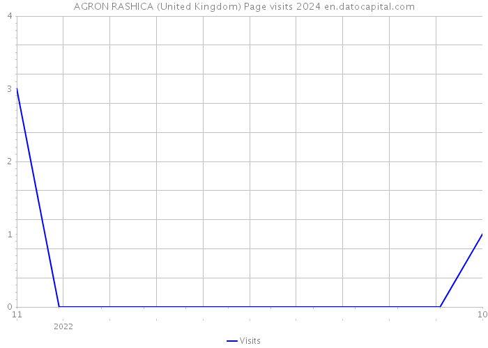 AGRON RASHICA (United Kingdom) Page visits 2024 