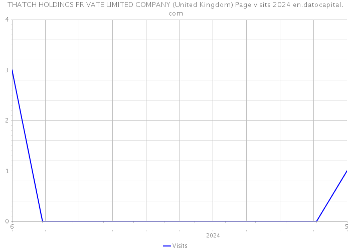 THATCH HOLDINGS PRIVATE LIMITED COMPANY (United Kingdom) Page visits 2024 