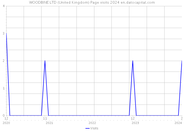 WOODBINE LTD (United Kingdom) Page visits 2024 
