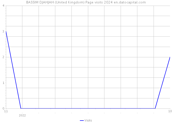 BASSIM DJAHJAH (United Kingdom) Page visits 2024 