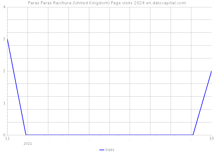 Paras Paras Raichura (United Kingdom) Page visits 2024 