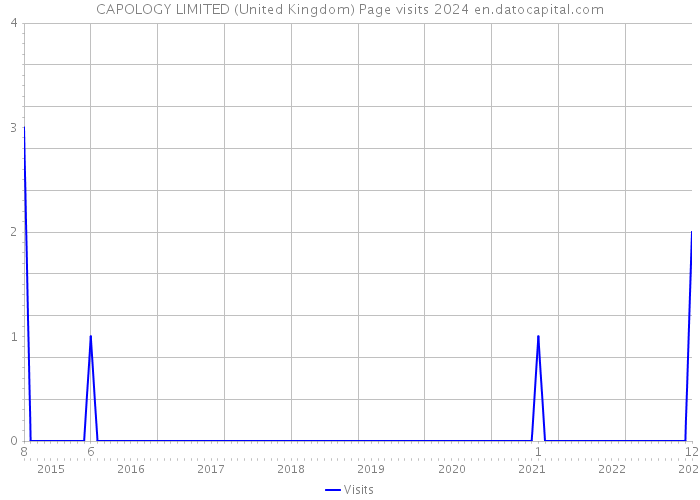 CAPOLOGY LIMITED (United Kingdom) Page visits 2024 