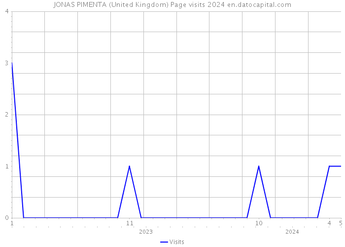 JONAS PIMENTA (United Kingdom) Page visits 2024 
