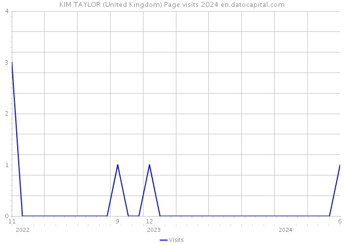 KIM TAYLOR (United Kingdom) Page visits 2024 