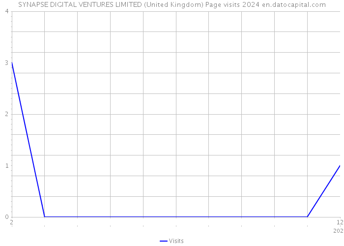 SYNAPSE DIGITAL VENTURES LIMITED (United Kingdom) Page visits 2024 