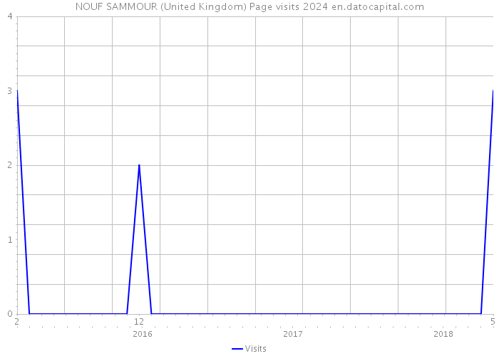 NOUF SAMMOUR (United Kingdom) Page visits 2024 