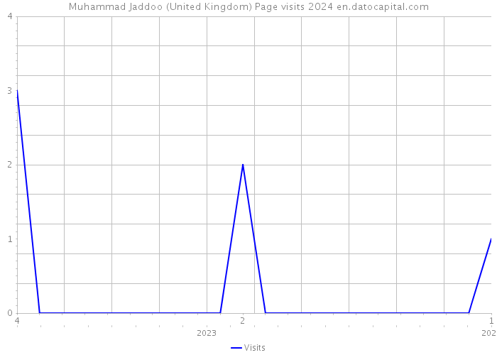 Muhammad Jaddoo (United Kingdom) Page visits 2024 