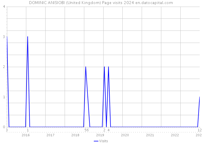 DOMINIC ANISIOBI (United Kingdom) Page visits 2024 