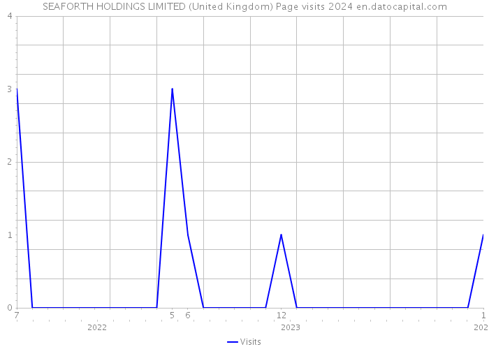 SEAFORTH HOLDINGS LIMITED (United Kingdom) Page visits 2024 