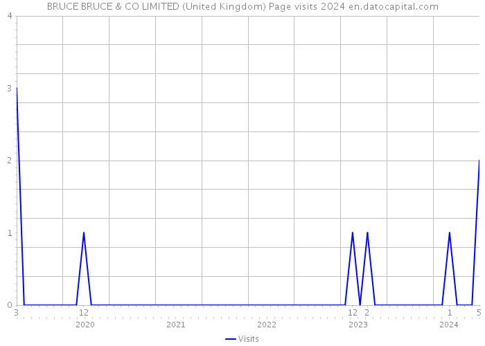 BRUCE BRUCE & CO LIMITED (United Kingdom) Page visits 2024 
