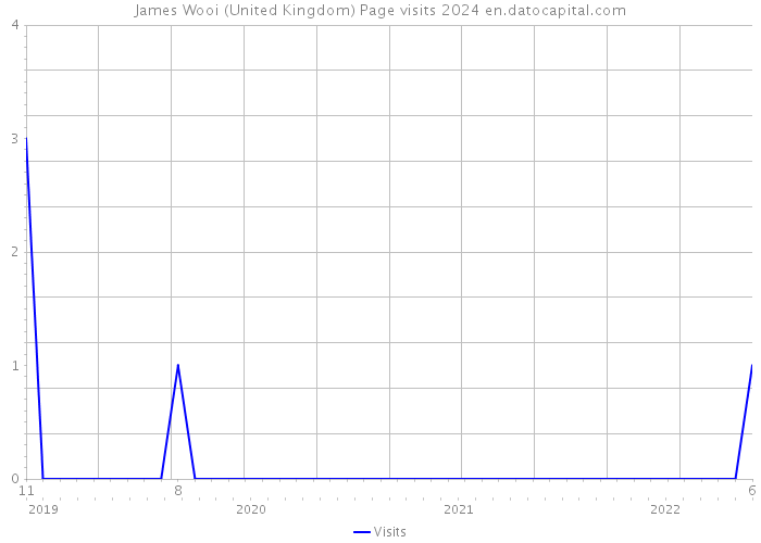 James Wooi (United Kingdom) Page visits 2024 