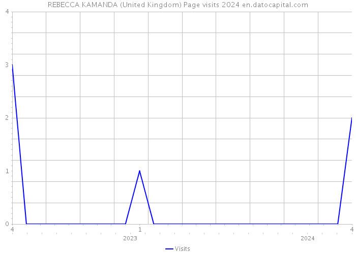 REBECCA KAMANDA (United Kingdom) Page visits 2024 