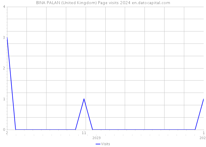 BINA PALAN (United Kingdom) Page visits 2024 