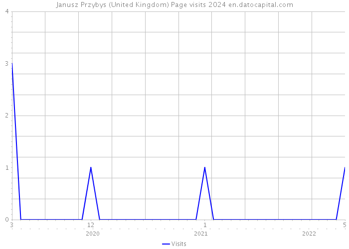 Janusz Przybys (United Kingdom) Page visits 2024 