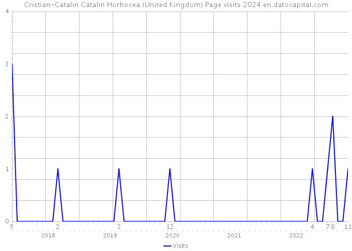 Cristian-Catalin Catalin Horhocea (United Kingdom) Page visits 2024 