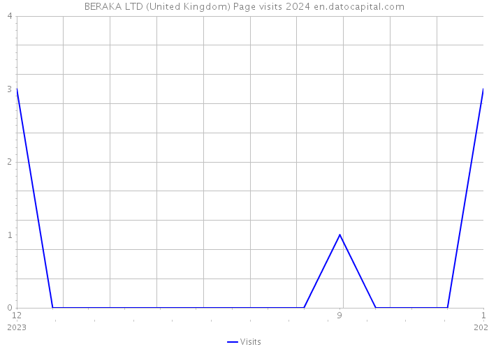 BERAKA LTD (United Kingdom) Page visits 2024 