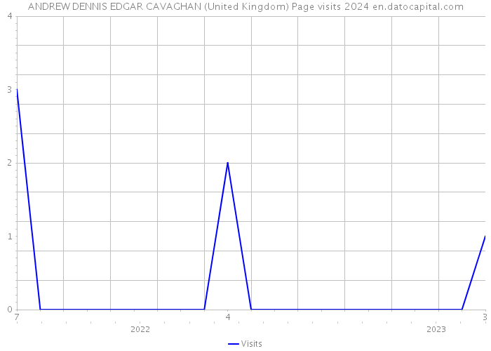 ANDREW DENNIS EDGAR CAVAGHAN (United Kingdom) Page visits 2024 