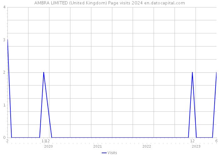 AMBRA LIMITED (United Kingdom) Page visits 2024 