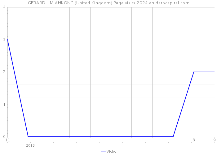 GERARD LIM AHKONG (United Kingdom) Page visits 2024 