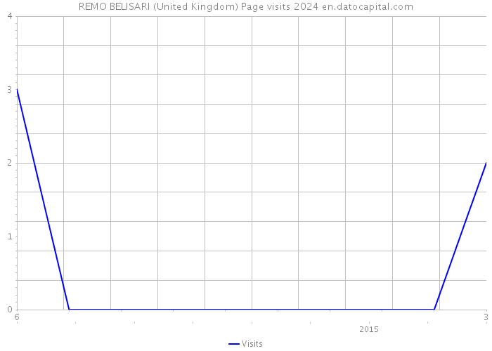 REMO BELISARI (United Kingdom) Page visits 2024 