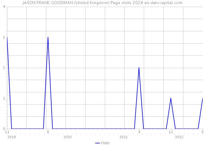 JASON FRANK GOODMAN (United Kingdom) Page visits 2024 