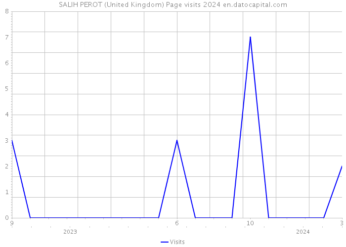 SALIH PEROT (United Kingdom) Page visits 2024 