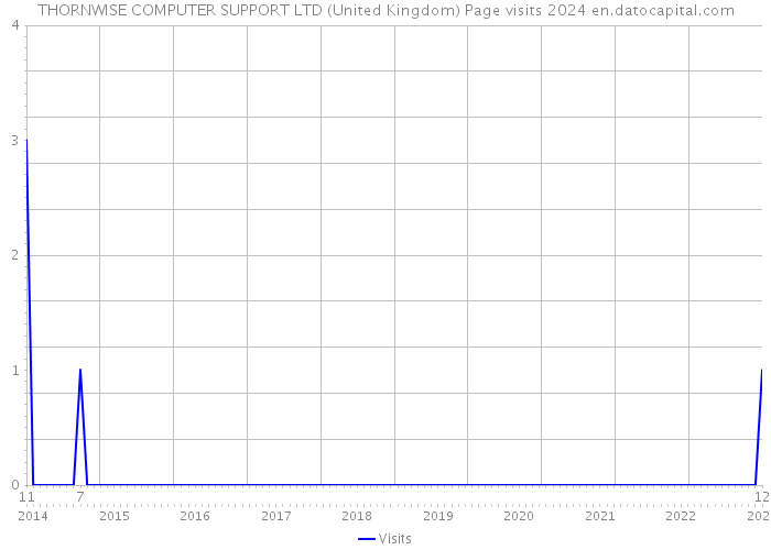 THORNWISE COMPUTER SUPPORT LTD (United Kingdom) Page visits 2024 
