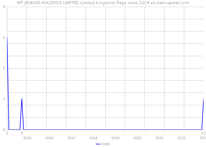WT JENKINS HOLDINGS LIMITED (United Kingdom) Page visits 2024 