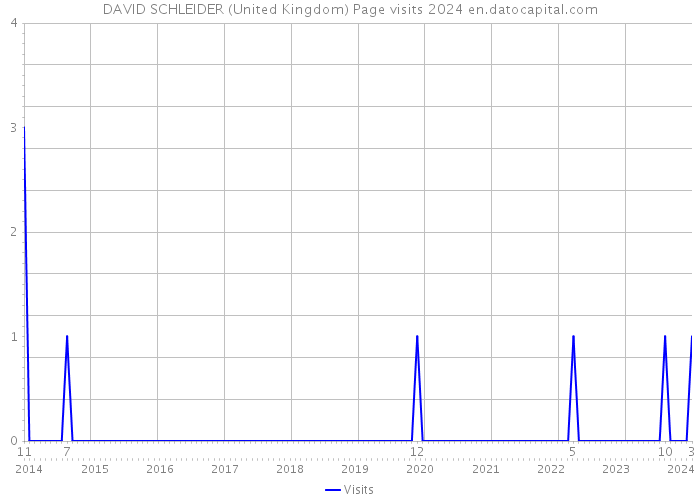 DAVID SCHLEIDER (United Kingdom) Page visits 2024 