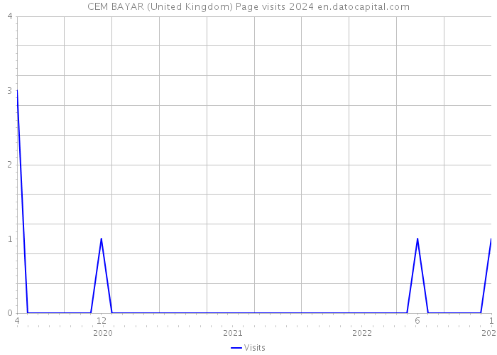 CEM BAYAR (United Kingdom) Page visits 2024 