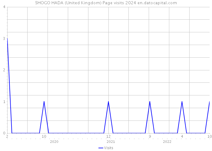 SHOGO HADA (United Kingdom) Page visits 2024 
