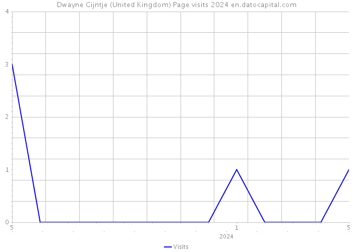 Dwayne Cijntje (United Kingdom) Page visits 2024 