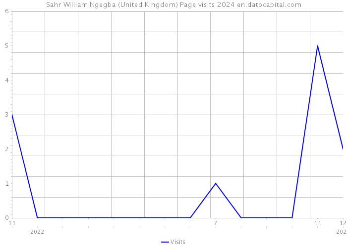 Sahr William Ngegba (United Kingdom) Page visits 2024 