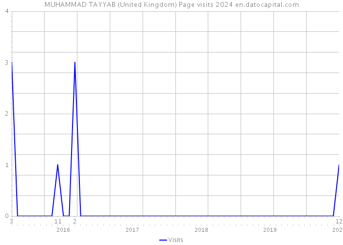 MUHAMMAD TAYYAB (United Kingdom) Page visits 2024 