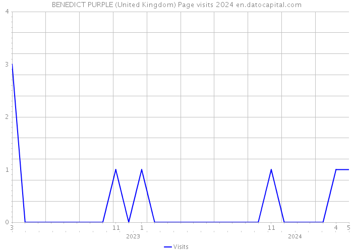 BENEDICT PURPLE (United Kingdom) Page visits 2024 