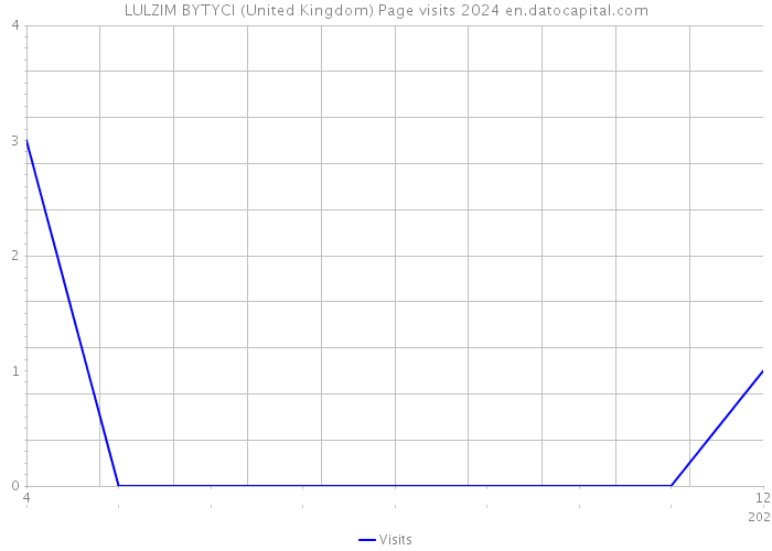 LULZIM BYTYCI (United Kingdom) Page visits 2024 