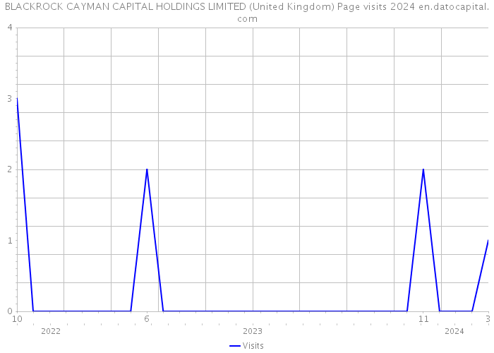 BLACKROCK CAYMAN CAPITAL HOLDINGS LIMITED (United Kingdom) Page visits 2024 
