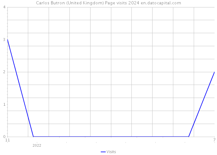 Carlos Butron (United Kingdom) Page visits 2024 