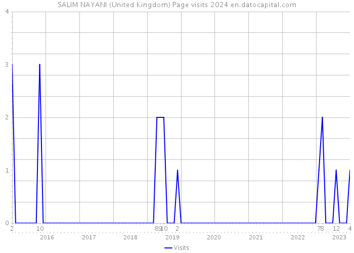 SALIM NAYANI (United Kingdom) Page visits 2024 