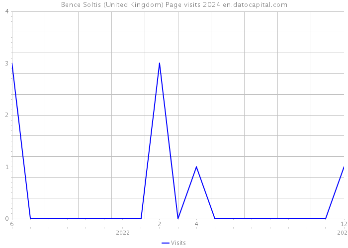 Bence Soltis (United Kingdom) Page visits 2024 