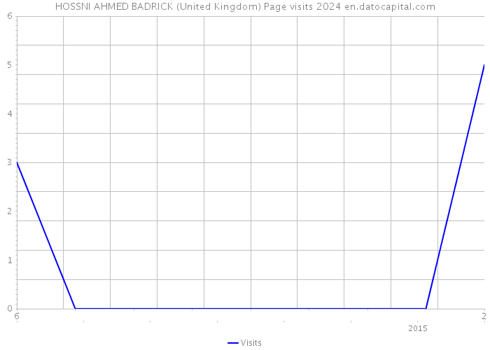 HOSSNI AHMED BADRICK (United Kingdom) Page visits 2024 