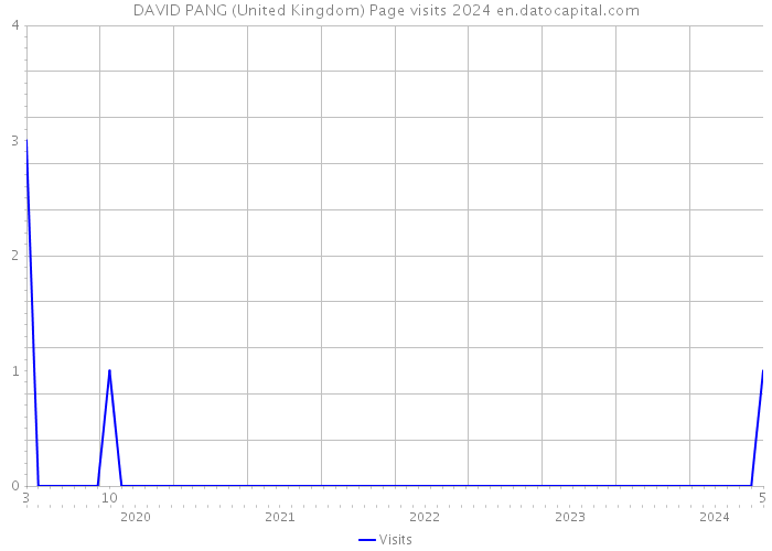 DAVID PANG (United Kingdom) Page visits 2024 