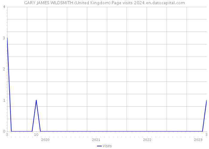GARY JAMES WILDSMITH (United Kingdom) Page visits 2024 
