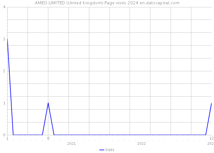 AMEO LIMITED (United Kingdom) Page visits 2024 