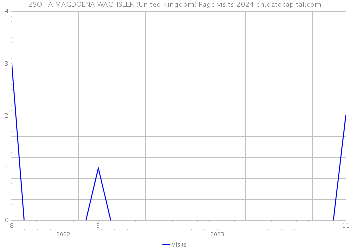 ZSOFIA MAGDOLNA WACHSLER (United Kingdom) Page visits 2024 