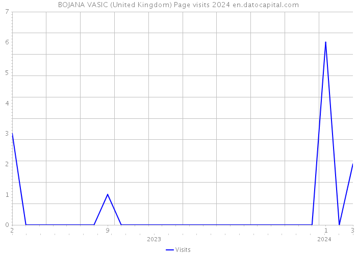 BOJANA VASIC (United Kingdom) Page visits 2024 